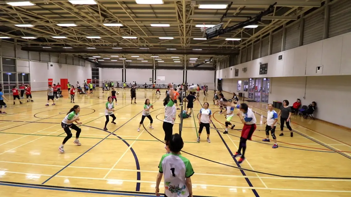 Light Volleyball community photo